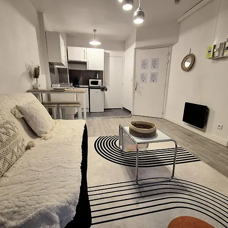 Le Cocon-t2-proche Du Centre-wifi 卢德